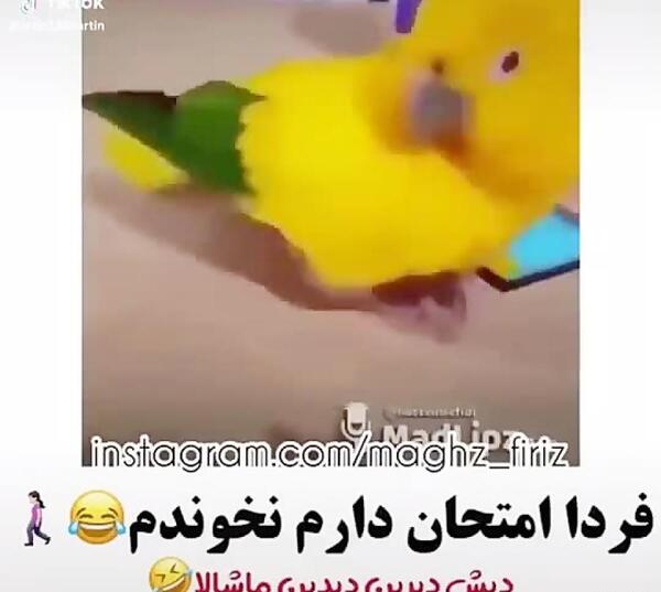 عکس طنز فردا شنبه است