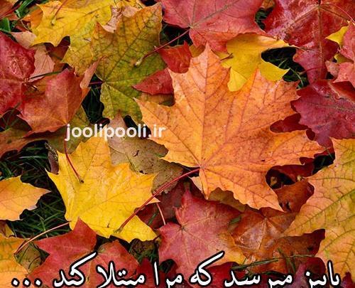 عکس نوشته پاییز میرسد که مرا مبتلا کند
