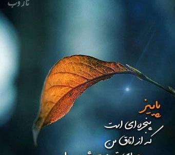 عکس نوشته پاییز میرسد که مرا مبتلا کند