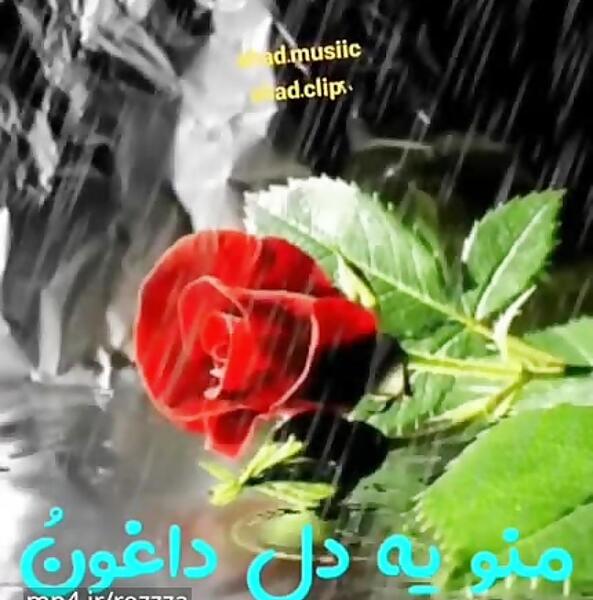 عکس وضعیت واتساپ غمگین تنهایی دخترانه