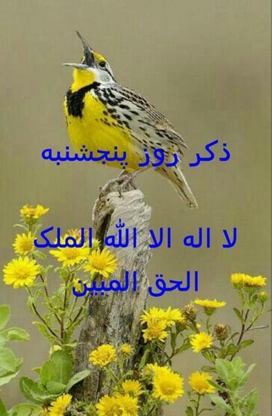 ذکر روز پنجشنبه عکس