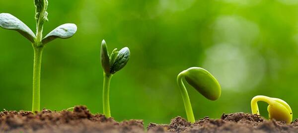 عکس خاک در طبیعت