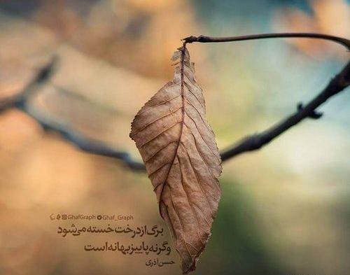 عکس نوشته شعر پاییزی