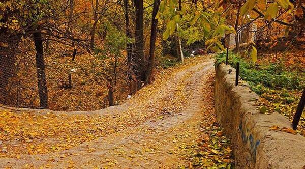 عکس پاییز لواسان