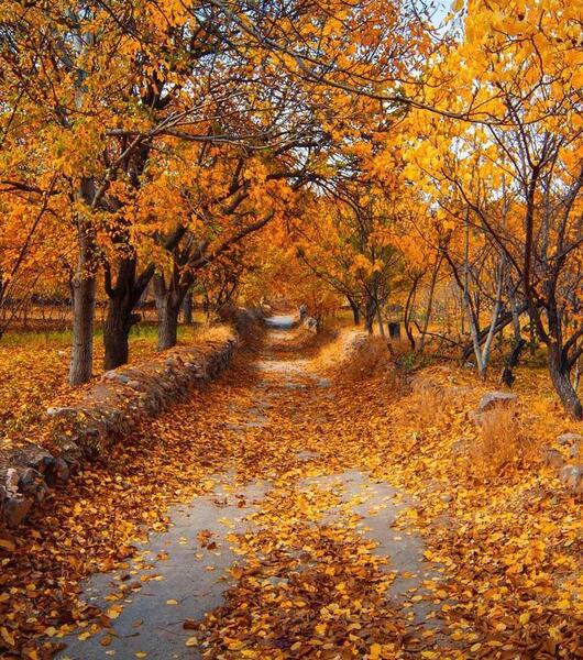عکس جاهای دیدنی خوانسار