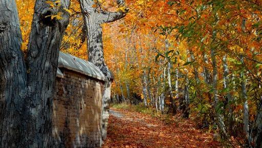 عکس جاهای دیدنی خوانسار
