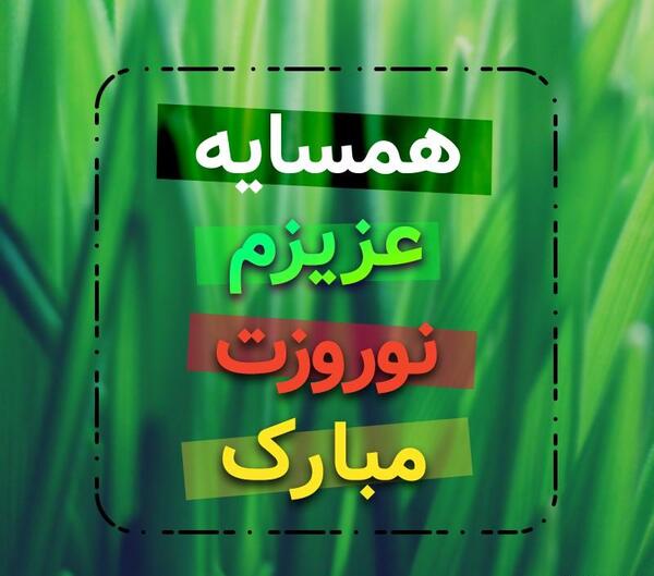 عکس گروه همسایه ها