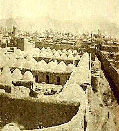 عکس های لوئیجی پشه