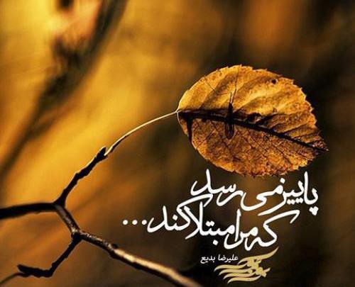 عکس پاییز در راه است