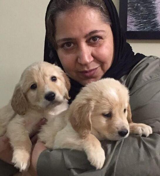 عکس شهره سلطانی فتوکده