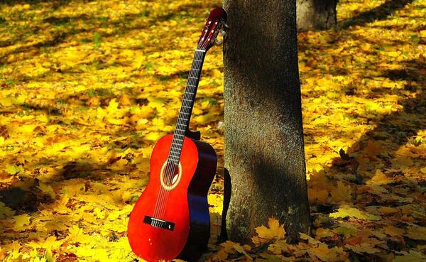 عکس پاییز برای پس زمینه