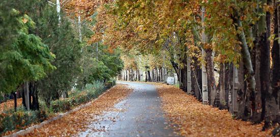 عکس پاییز نطنز
