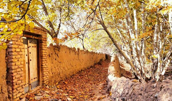 عکس پاییز نطنز