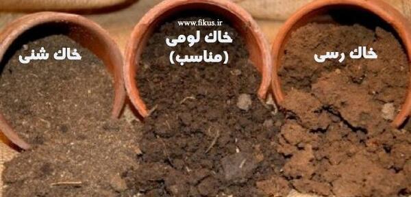 عکس خاک مناسب کشاورزی