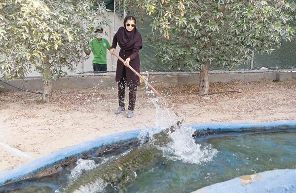 عکس ملکه آب ها
