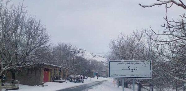 عکس از طبیعت رابر