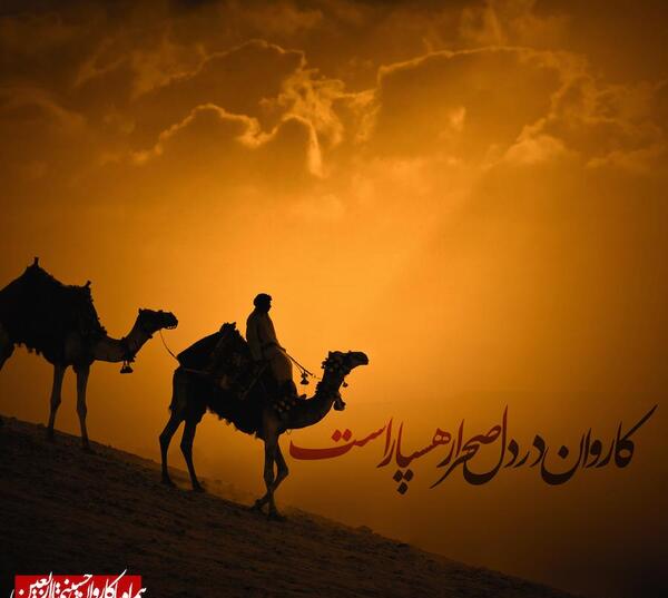 عکس قافله اربعین