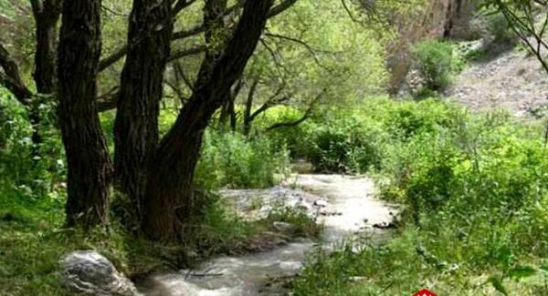 عکس روستای ابرده مشهد