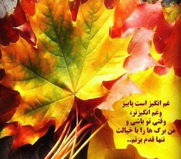 عکس پاییز غم انگیز