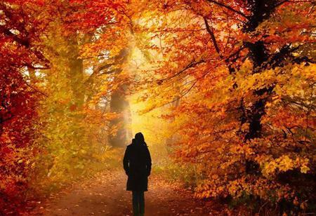 عکس پاییز غم انگیز