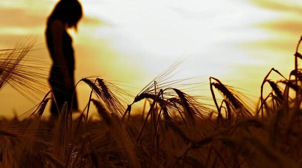 عکس عروس در گندم زار