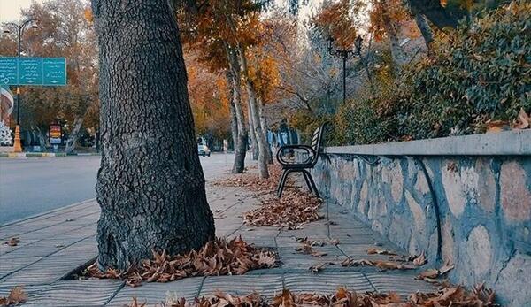 عکس پاییز شاهرود