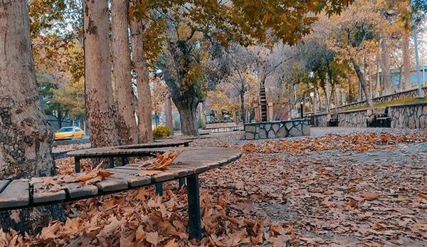 عکس پاییز شاهرود