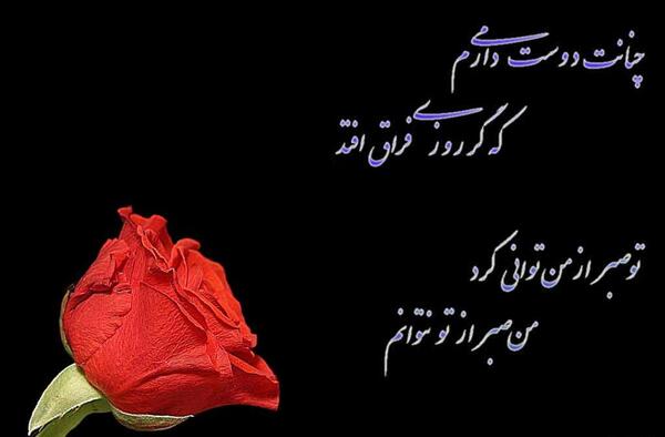 عکس پیام رفیق