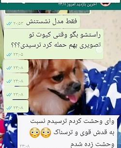 عکس گروه آلاچیق دوستانه