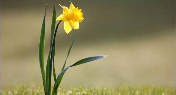 عکس نوشته آخرین جمعه قرن