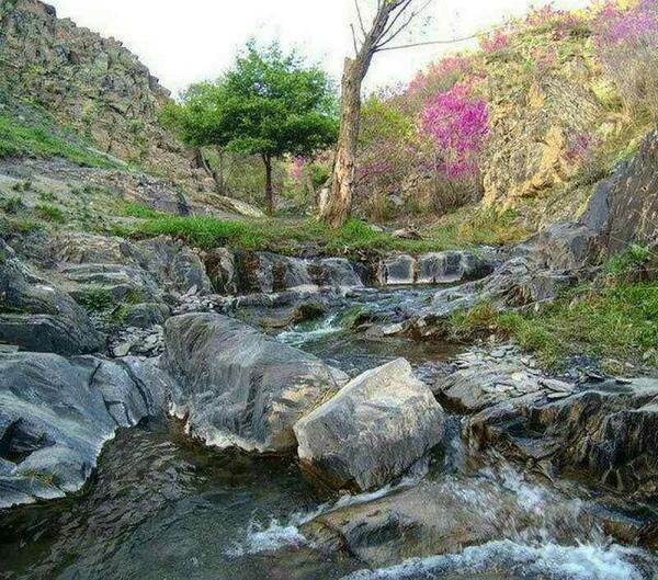 عکس از جاهای دیدنی طرقبه