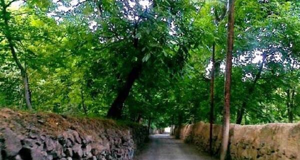 عکس از جاهای دیدنی طرقبه