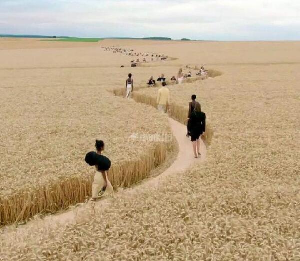 عکس گندم زار عاشقانه