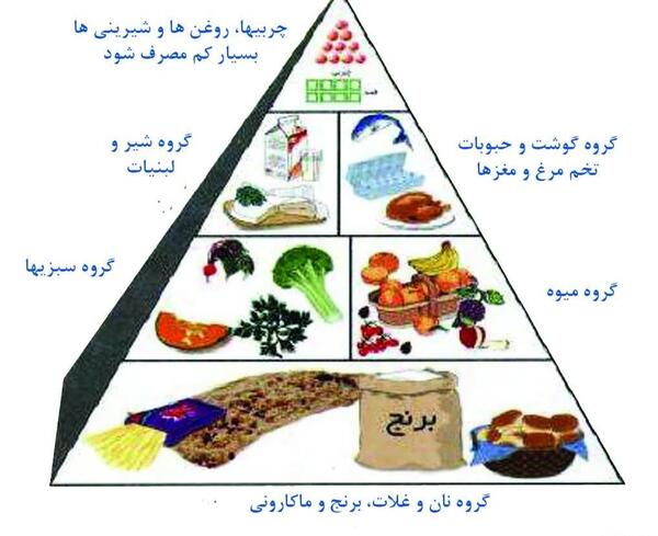 عکس هرم غذایی