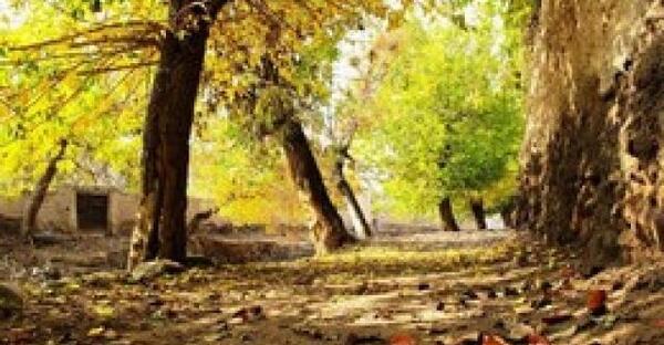 عکس پاییز آذربایجان