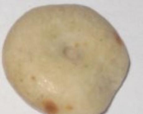عکس سنگ خرمهره