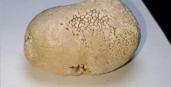 عکس سنگ خرمهره