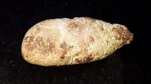 عکس سنگ خرمهره