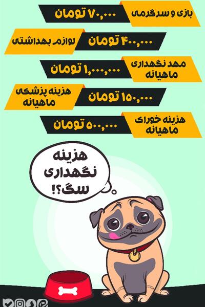 عکس وسایل سگ خانگی