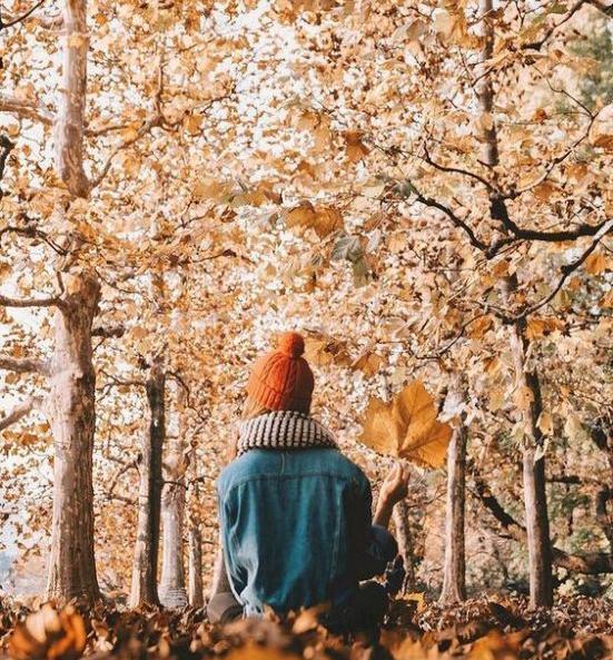 عکس پاییز هنری
