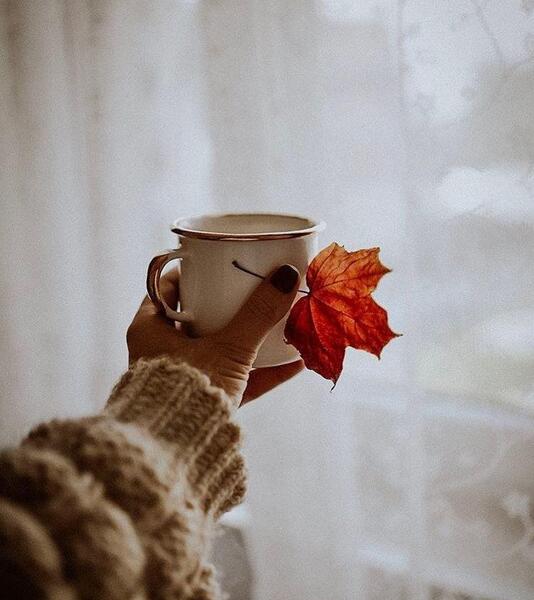 عکس پاییز هنری