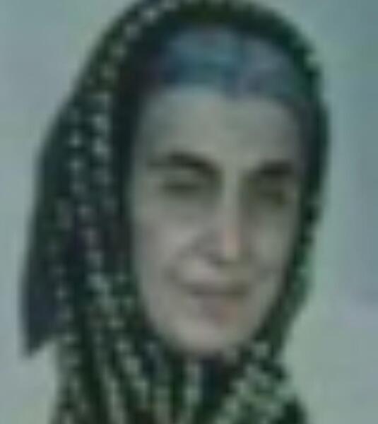 عکس جوانی پروین میکده