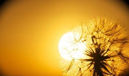 عکس نوشته غروب پاییزی