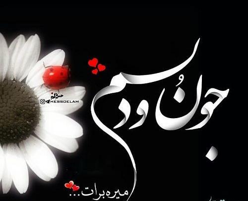 عکس جون و دلم میره برات