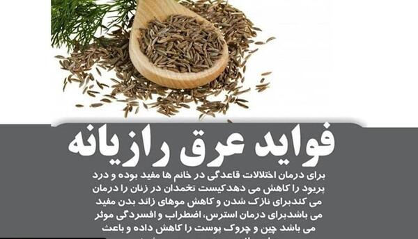 عکس رازیانه خواص
