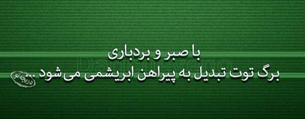 عکس ضرب المثل آموزنده