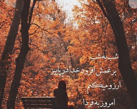 عکس پروفایل پاییز آذر