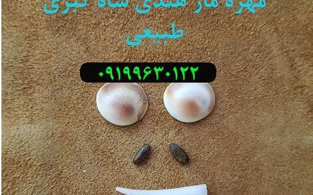 عکس شاه کبری