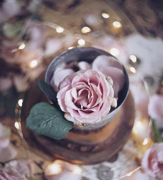 عکس پروفایل زیبا ساده
