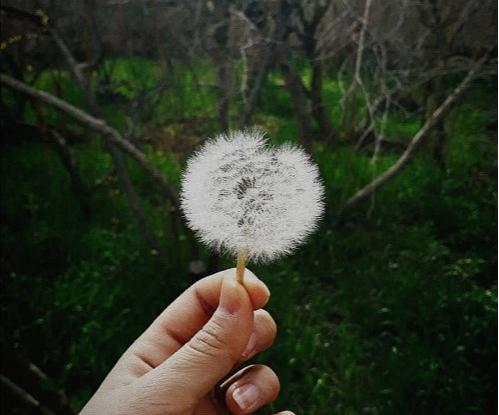 عکس پروفایل زیبا ساده
